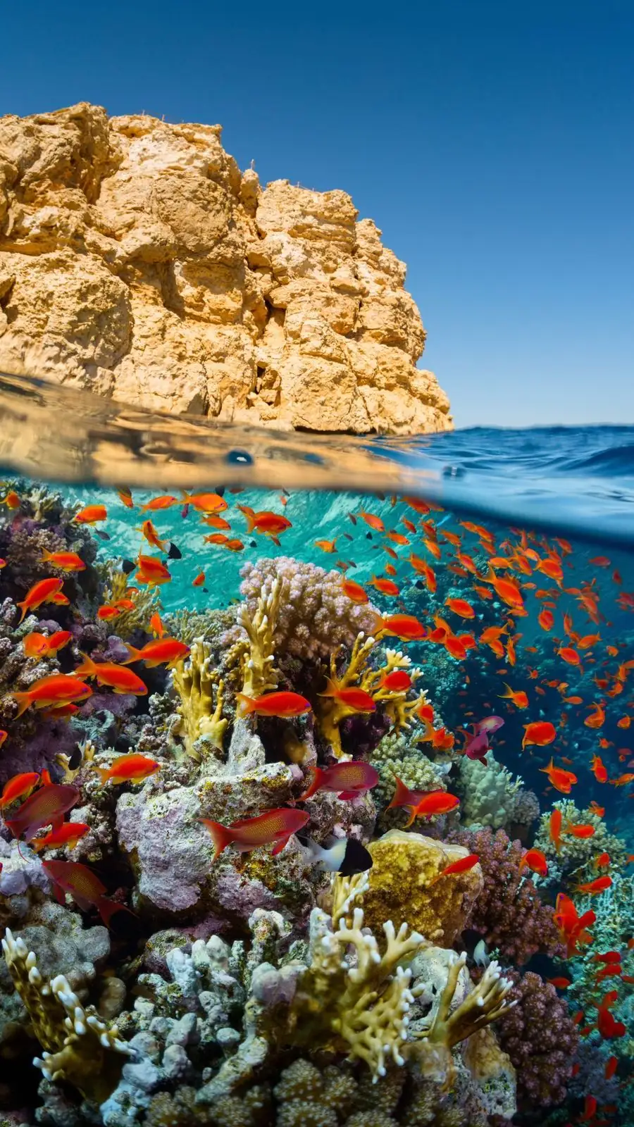 Eco-Adventures in Egypt: Thrills with a Conscience